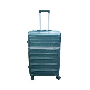 Double Wheel Travel Suitcase